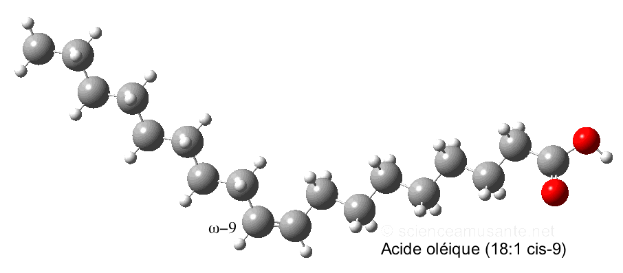 Acide oléique