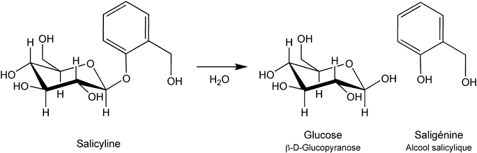 Hydrolyse acide de la salicyline en saligénine et glucose.