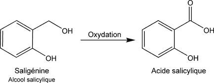 Oxydation de la saligénine en acide salicylique.