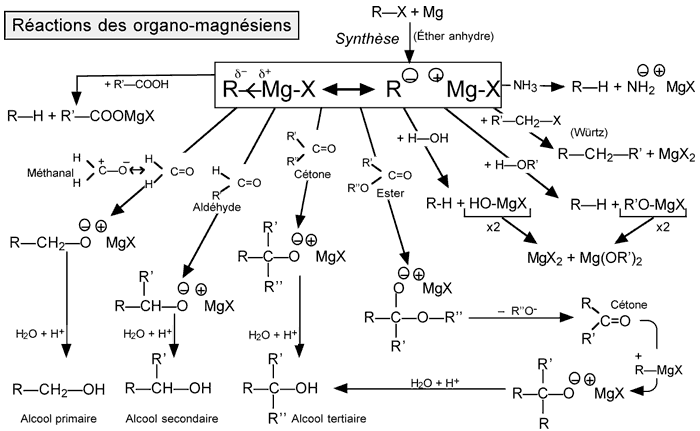 Organomagnesiens synthese reactions 1.gif