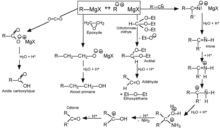 Organomagnesiens synthese reactions 2.gif